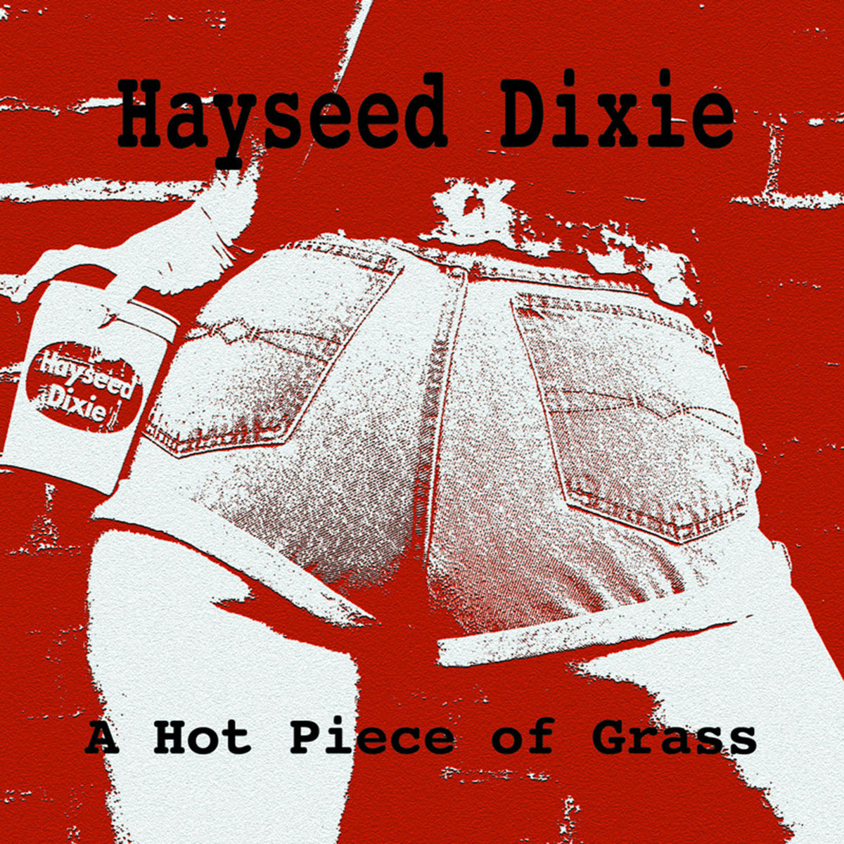 Hayseed Dixie